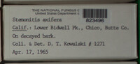 Image Associated With the Occurence
